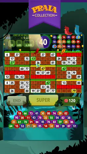 Snímek obrazovky 3 Video Bingo Ubatuba iphone
