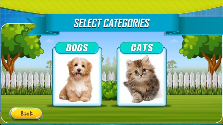 Pet Hospital - Doctor Games screenshot-4