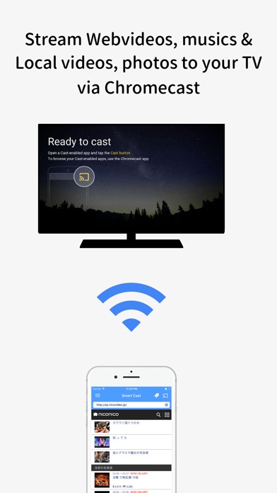 VIDEO STREAM FOR CHROMECAST 3.2.0 IOS