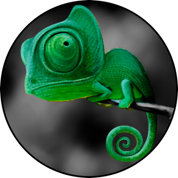 Highlight Color Create stylish effects on your photos with your images best colors highlighted from the background