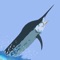 This application is for beginner and intermediate anglers who want to have access to a quick surf fishing assistant