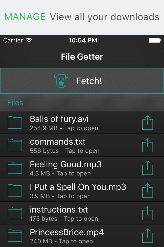 File Getter screenshot 4