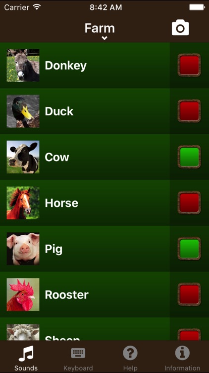 Animal Sounds.!