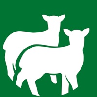 MelovApp pour PC