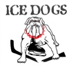 EV Pegnitz Ice Dogs