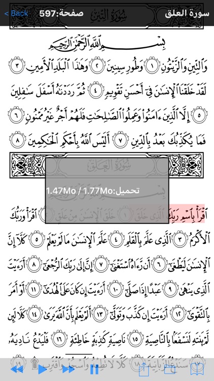 HolyQurann screenshot-7