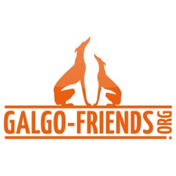 TSV Galgo-Friends e.V.