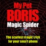 Get Magic Spider - My Pet Boris for iOS, iPhone, iPad Aso Report