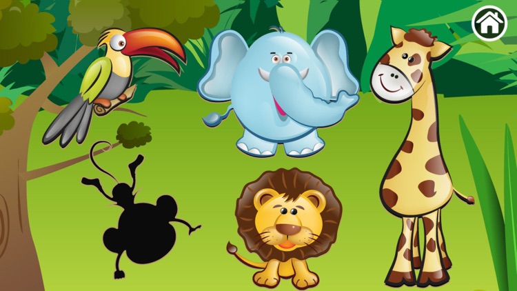 Animals of the jungle