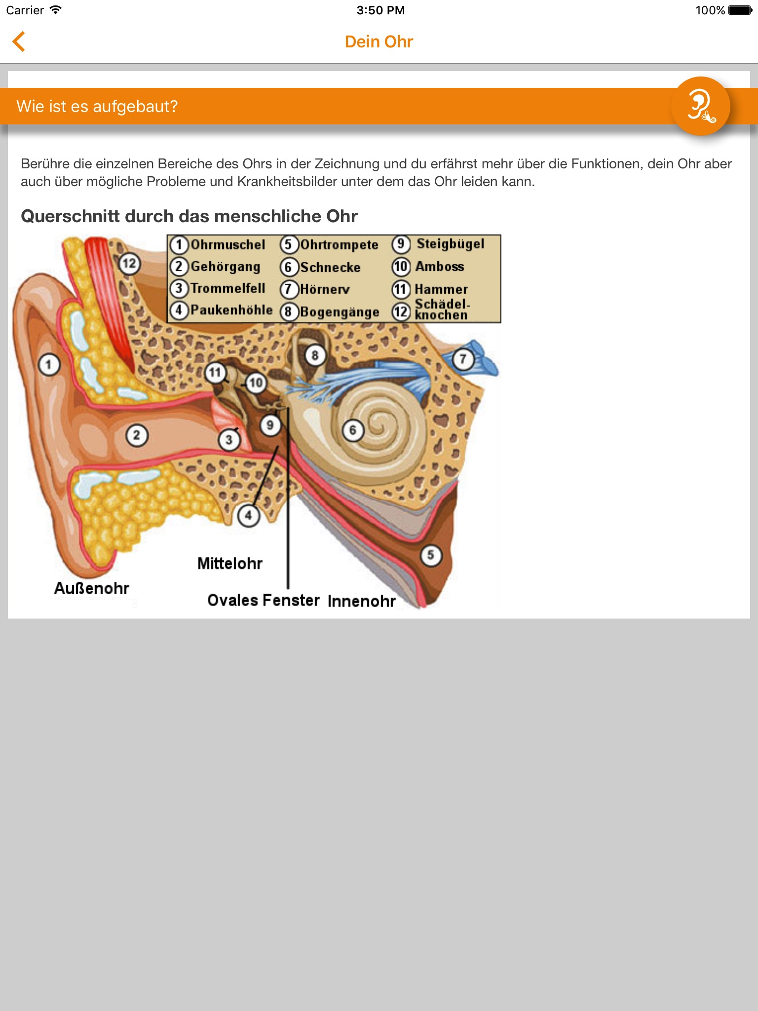 earaction screenshot 3