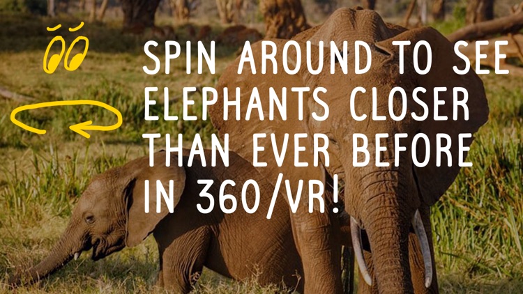 Virry Educational. Play, learn with real animals
