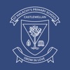St Malachy's PS Castlewellan