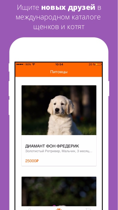 MyBabyPet любителям животных screenshot 4