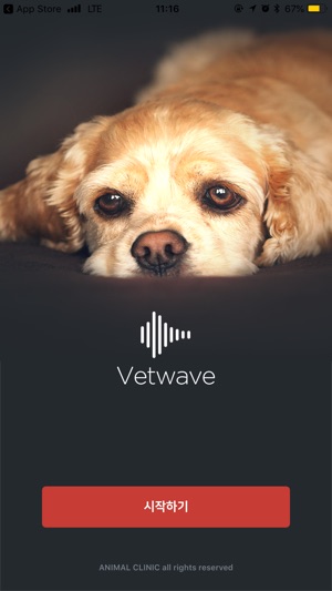 Vetwave(圖1)-速報App