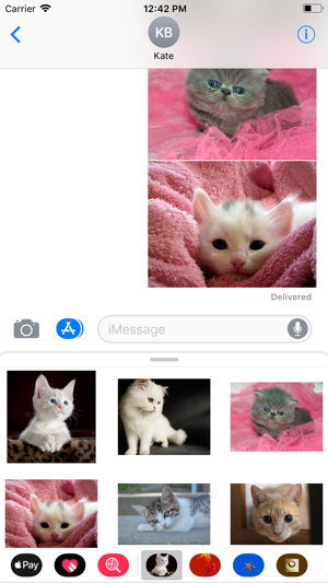 Kitten Sticker Pack(圖6)-速報App