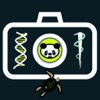Life Science Explorer: AR Game