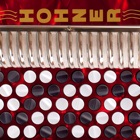 Hohner Chromatic Accordion