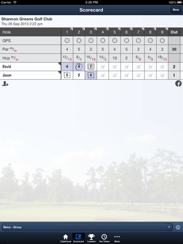 Shannon Greens GC screenshot 4