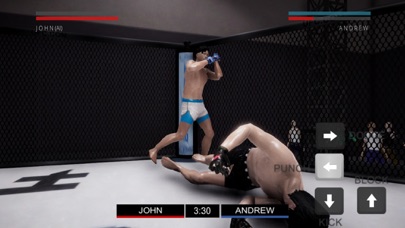 Ultra Fighting Champion screenshot 2