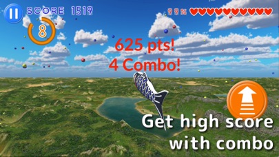 Flying Carp screenshot 2