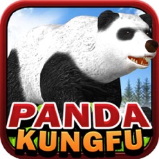 Activities of Panda KungFu Simulator Dash
