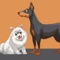 Welcome to WOOFMOJI - Dog Emoji Stickers App