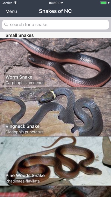 Snakes of North Carolina