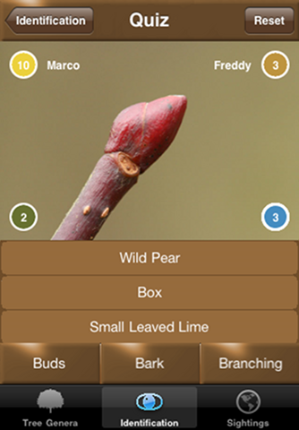 Winter Tree Id - British Isles - náhled