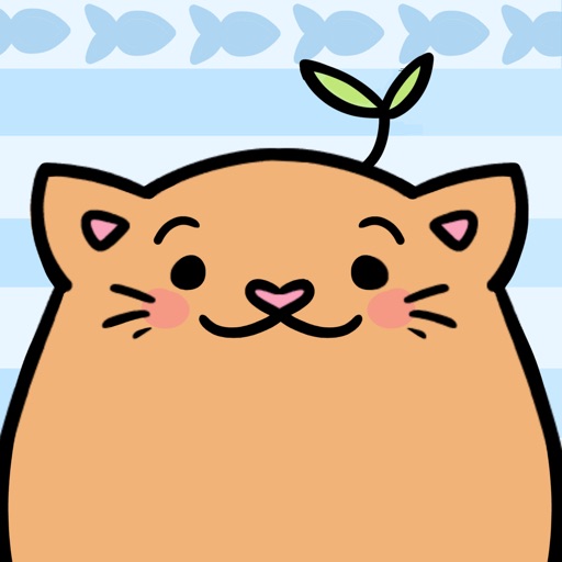 Meow Bounce Icon