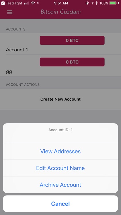 Bitcoin Wallet & Vault screenshot-4