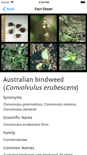 Weeds of Australian Cotton(圖4)-速報App