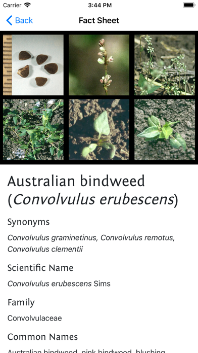 Weeds of Australian Cotton screenshot 4