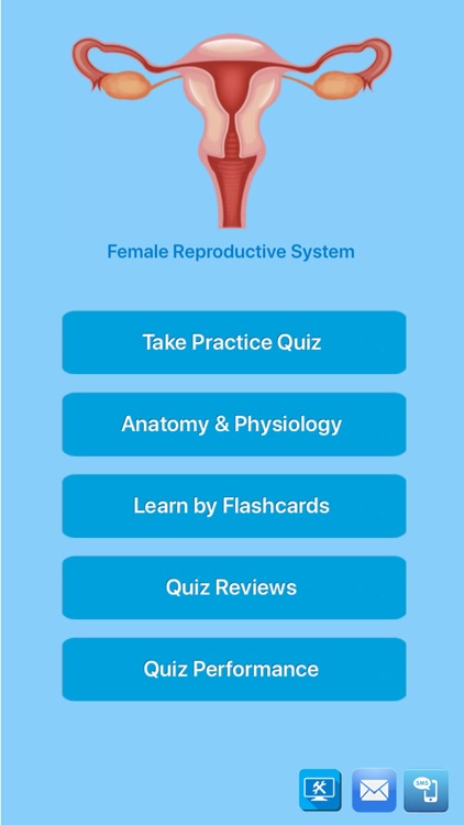 The Female Reproductive System