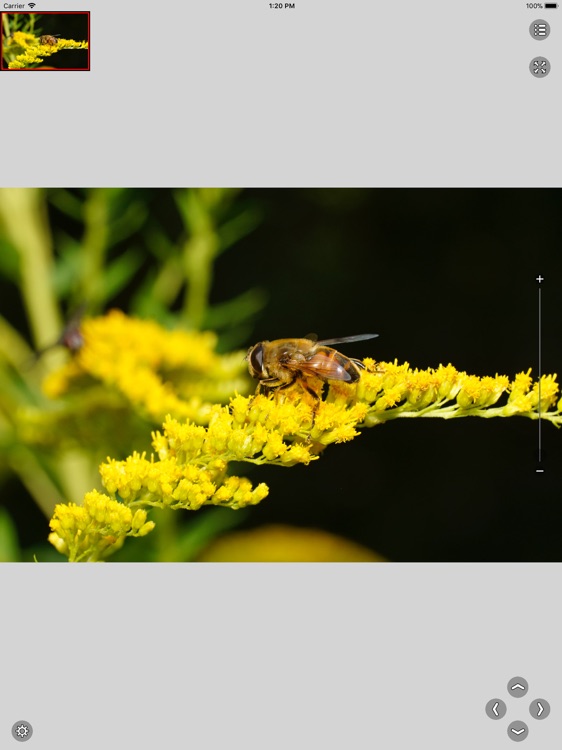 Viewer for Very Large Images screenshot-5