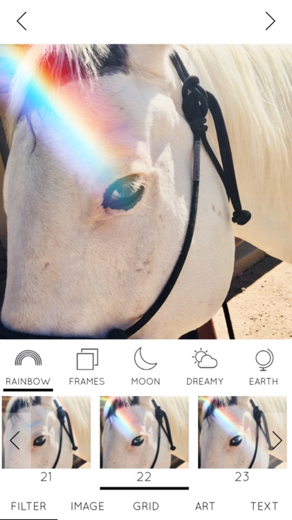 Rainbow Love Photo Editor