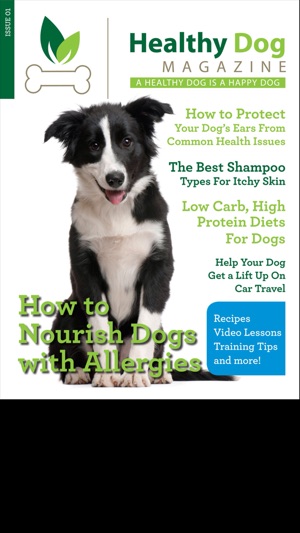 Healthy Dog Magazine(圖1)-速報App