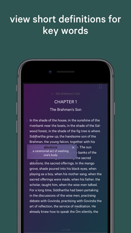Siddhartha - An Indian Tale screenshot-4