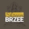 Shreem Brzee is a special App (application), which helps you stay connected with Lakshmi, the Goddess of wealth and be surrounded with her positive vibrations through the ultimate wealth mantra — the Shreem Brzee