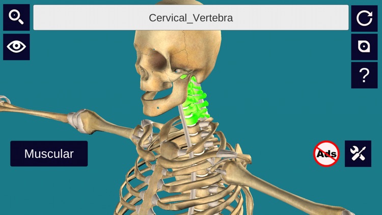 3D Anatomy + screenshot-4