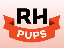 Featuring all of the pups that visit Roundhouse on a daily basis
