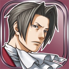 Activities of Ace Attorney INVESTIGATIONS