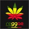 A2R - Reggae - The Best Reggae & Urban Sound of Riders