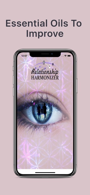 Relationship Harmonizer