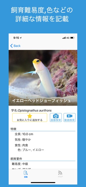 BlueBook - 海水サクサク検索 掲載数600種以上」をApp Storeで