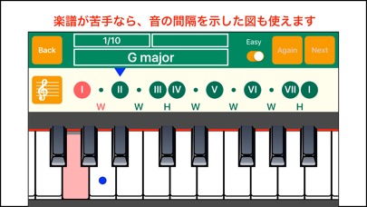 Perfect Scale Z Lite screenshot 2