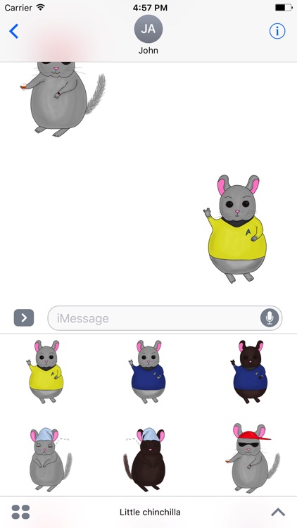 Little Chinchilla screenshot-3