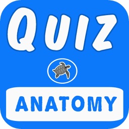 Clinical Anatomy Quiz Test
