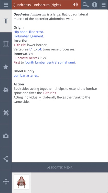 Female Pelvis: 3D Real-time screenshot-3