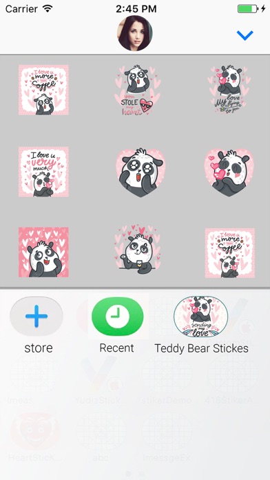 Teddy Bear : Animated Stickers screenshot 4