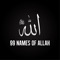Icon 99 Names of Allah + Audio
